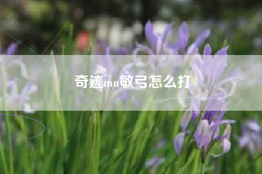 奇迹mu敏弓怎么打