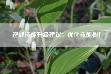 逆战技能升级建议：优化技能树！