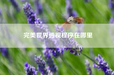 完美世界透视程序在哪里