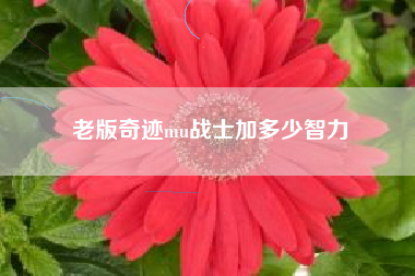 老版奇迹mu战士加多少智力