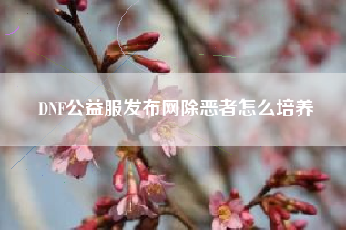 DNF公益服发布网除恶者怎么培养