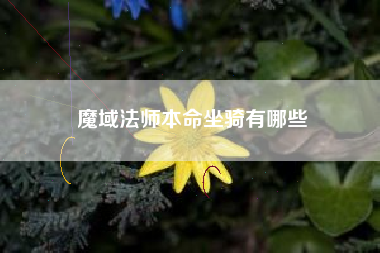 魔域法师本命坐骑有哪些