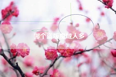 哪个盗版魔域人多