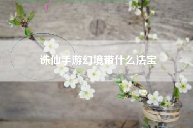 诛仙手游幻境带什么法宝
