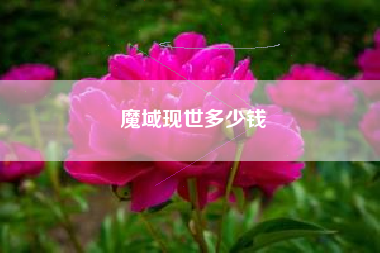 魔域现世多少钱
