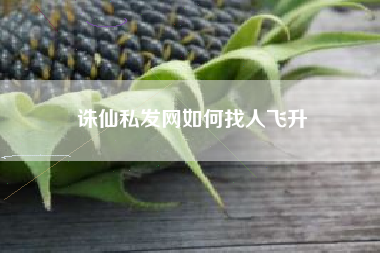 诛仙私发网如何找人飞升