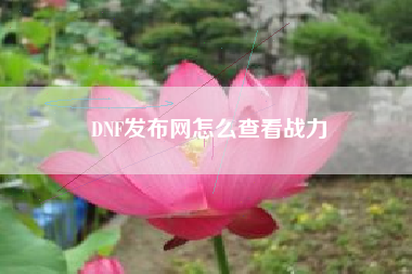 DNF发布网怎么查看战力