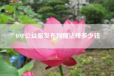 DNF公益服发布网魔法棒多少钱