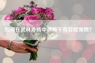 如何在武林外传中获得千奇百怪宠物？