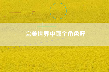 完美世界中哪个角色好