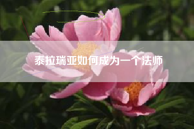 泰拉瑞亚如何成为一个法师