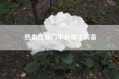 热血江湖门甲换哪个装备