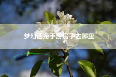 梦幻西游手游房子去哪里