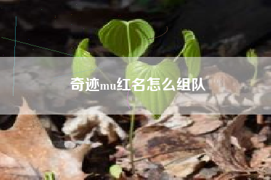 奇迹mu红名怎么组队