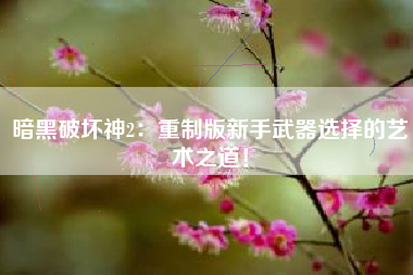 暗黑破坏神2：重制版新手武器选择的艺术之道！