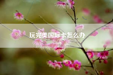 玩完美国际卡怎么办