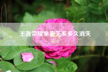 王者荣耀亲密关系多久消失
