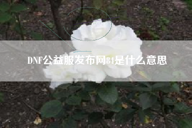 DNF公益服发布网84是什么意思