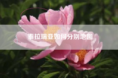 泰拉瑞亚如何分别地图