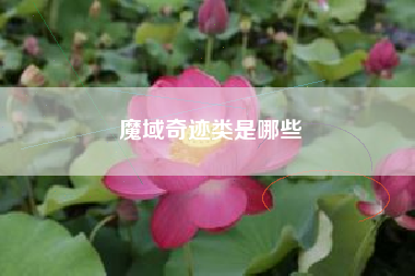 魔域奇迹类是哪些