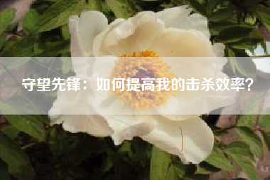 守望先锋：如何提高我的击杀效率？