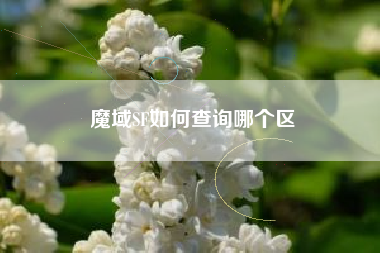魔域SF如何查询哪个区
