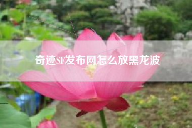 奇迹SF发布网怎么放黑龙波