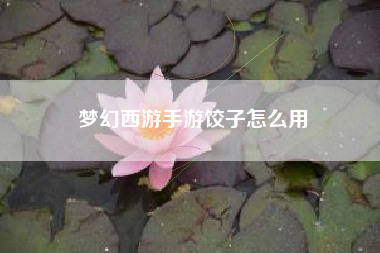 梦幻西游手游饺子怎么用