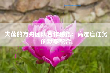 失落的方舟团队合作秘籍：高难度任务的默契配合