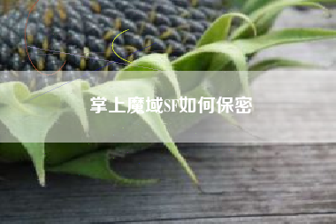 掌上魔域SF如何保密