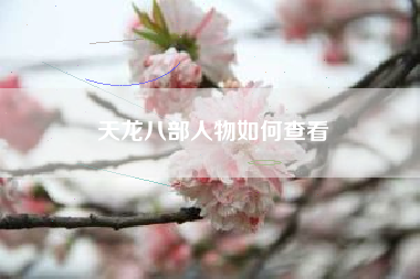 天龙八部人物如何查看