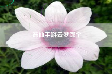 诛仙手游云梦哪个
