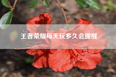 王者荣耀每天玩多久会提醒