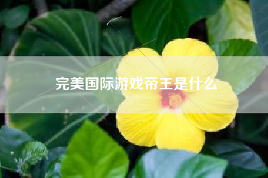 完美国际游戏帝王是什么
