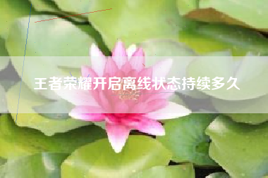 王者荣耀开启离线状态持续多久