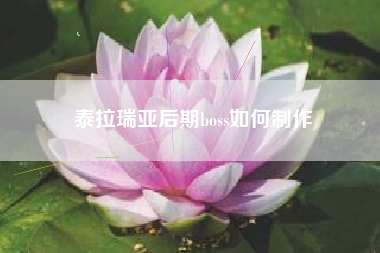 泰拉瑞亚后期boss如何制作