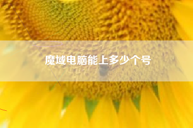 魔域电脑能上多少个号
