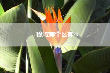 sf魔域哪个区有28