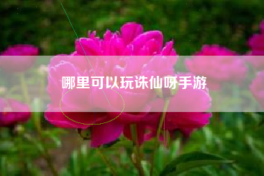 哪里可以玩诛仙呀手游