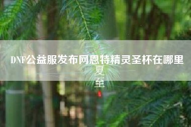 DNF公益服发布网恩特精灵圣杯在哪里