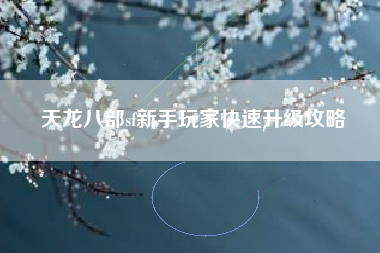 天龙八部sf新手玩家快速升级攻略