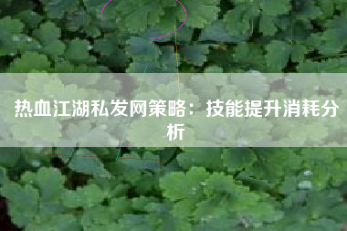 热血江湖私发网策略：技能提升消耗分析