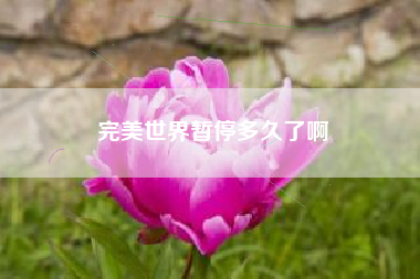 完美世界暂停多久了啊