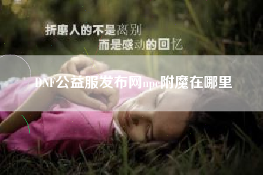 DNF公益服发布网npc附魔在哪里