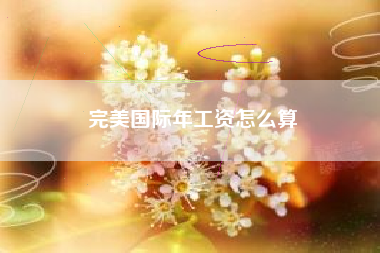 完美国际年工资怎么算
