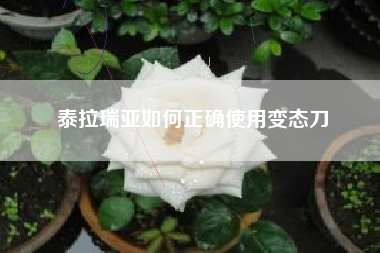 泰拉瑞亚如何正确使用变态刀