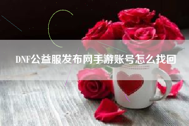 DNF公益服发布网手游账号怎么找回