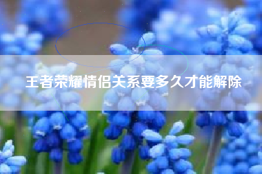 王者荣耀情侣关系要多久才能解除