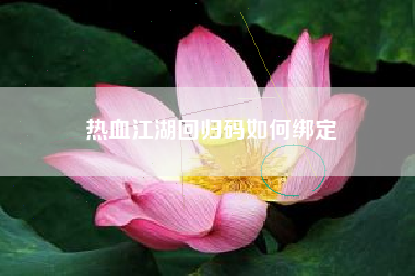 热血江湖回归码如何绑定