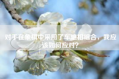 对手在象棋中采用了车炮相组合，我应该如何应对？